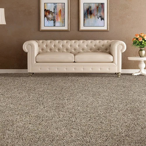 Johnson & Sons Flooring providing easy stain-resistant pet proof carpet in Knoxville, TN